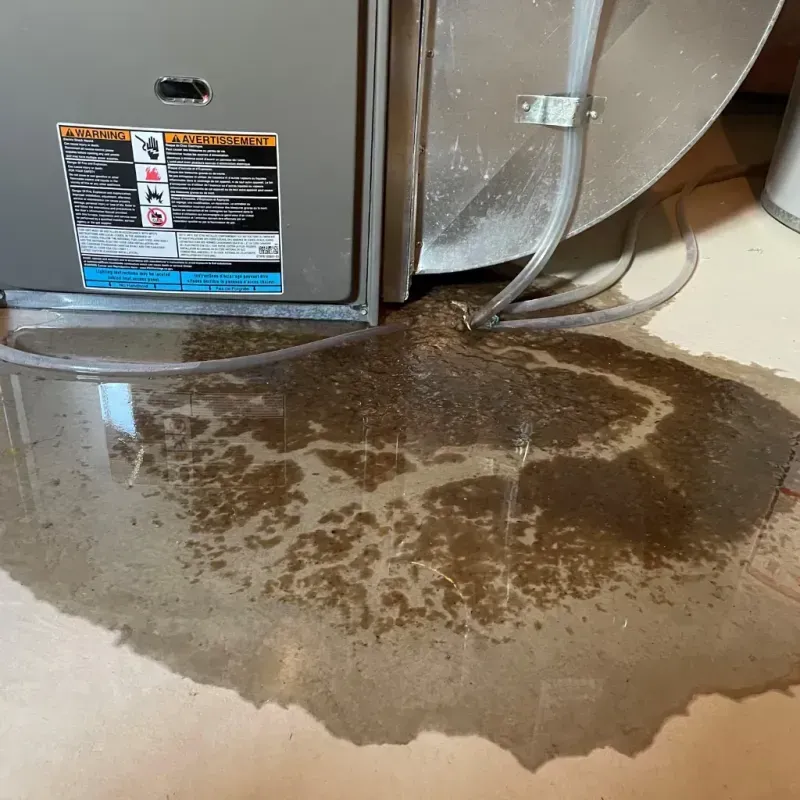 Appliance Leak Cleanup in Occidental, CA